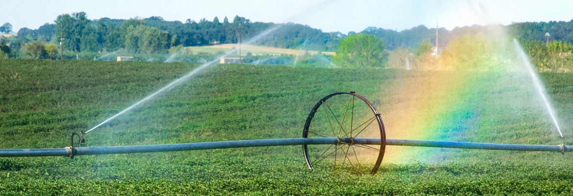 Pakistan begins making its own drones to facilitate agriculture